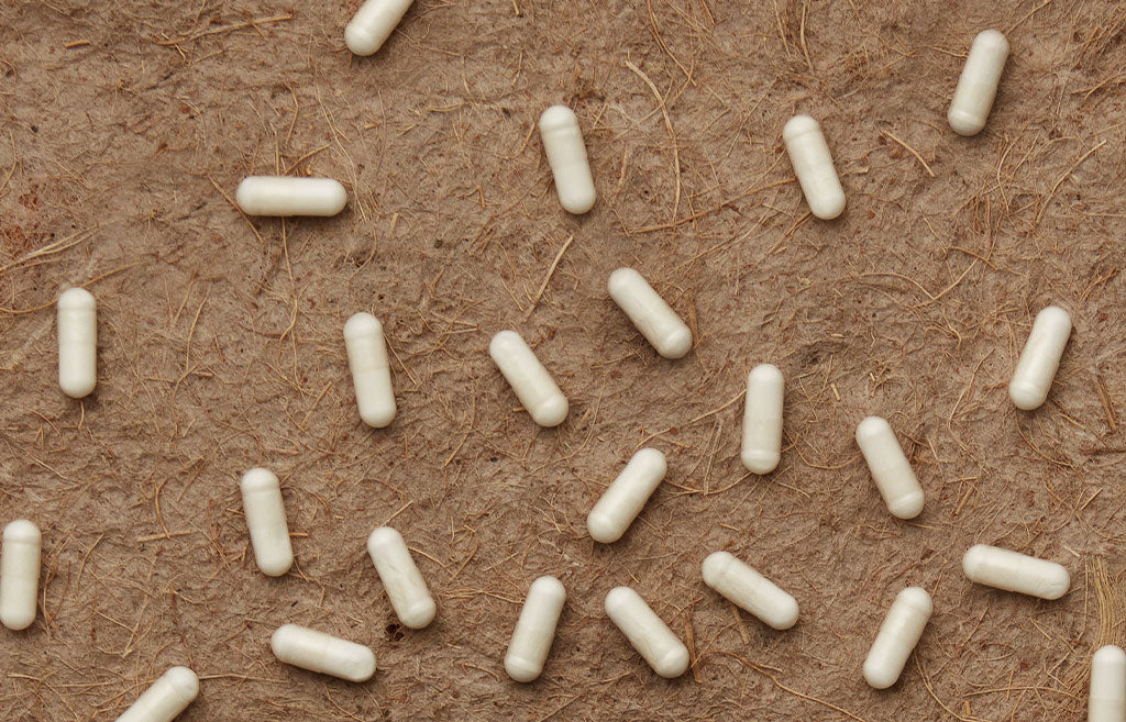 Health benefits of Lactobacillus Rhamnosus GG