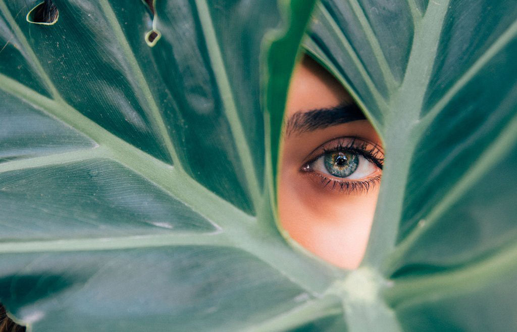 Eye vitamins - Nutrition for your eyes