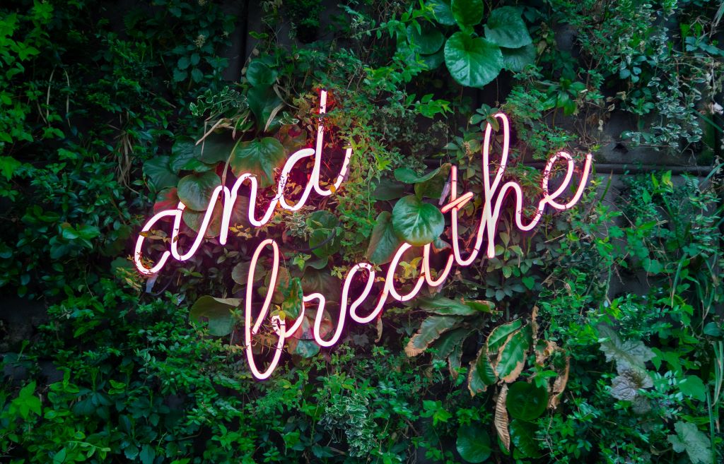 Need to be more productive? Take more breaks.