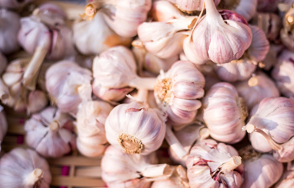 Nutrient Focus: Prebiotics