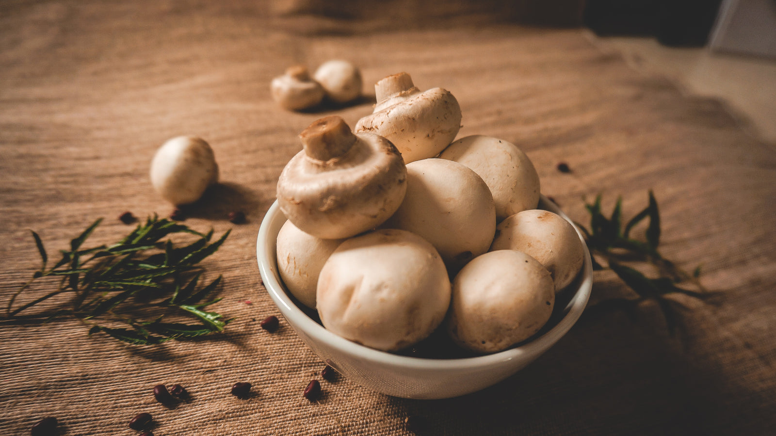 The Life-Changing Magic of Mushrooms