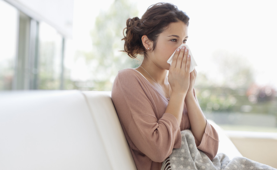 The Flu Fighters