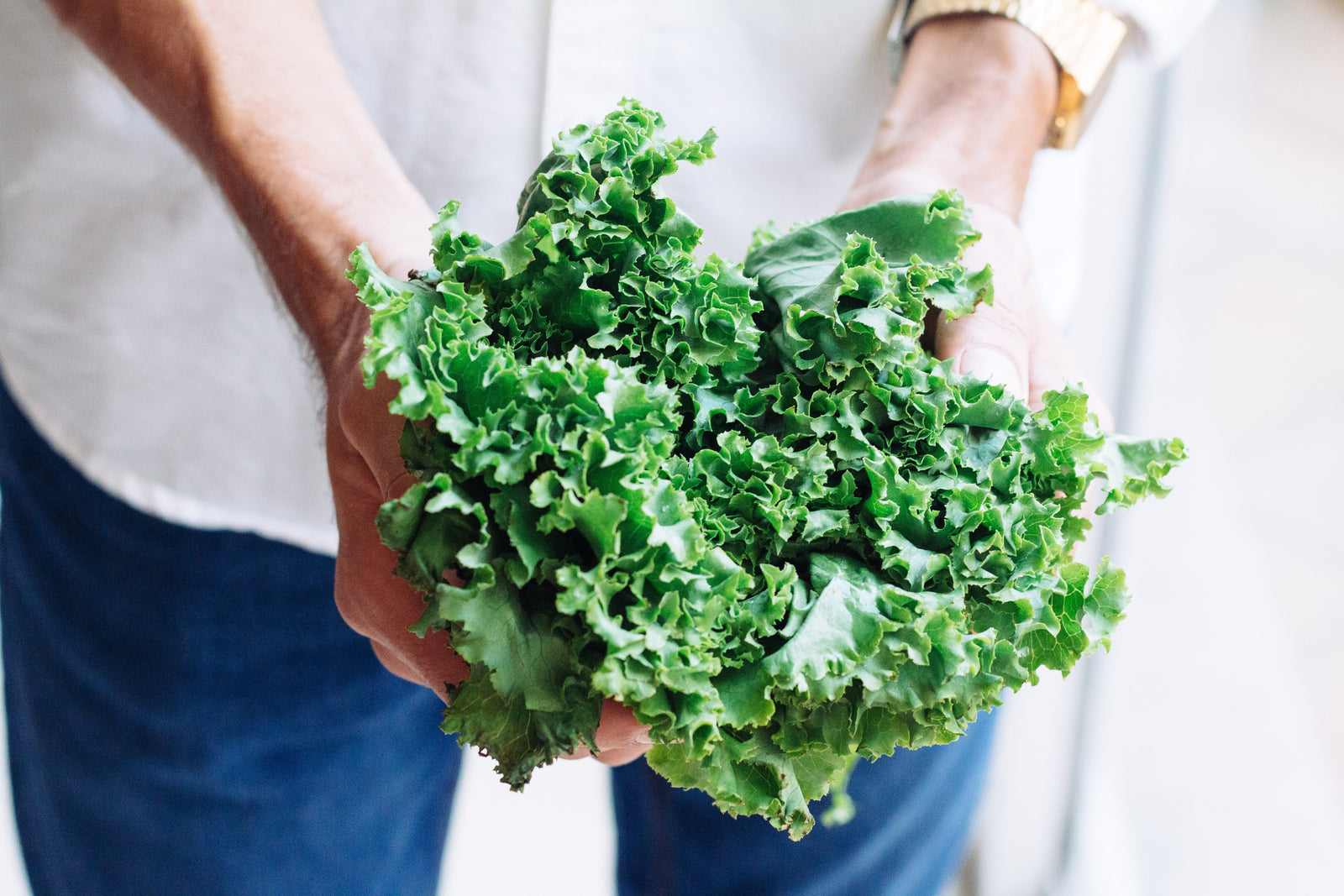5 Of The Easiest Vegetables To Grow At Home