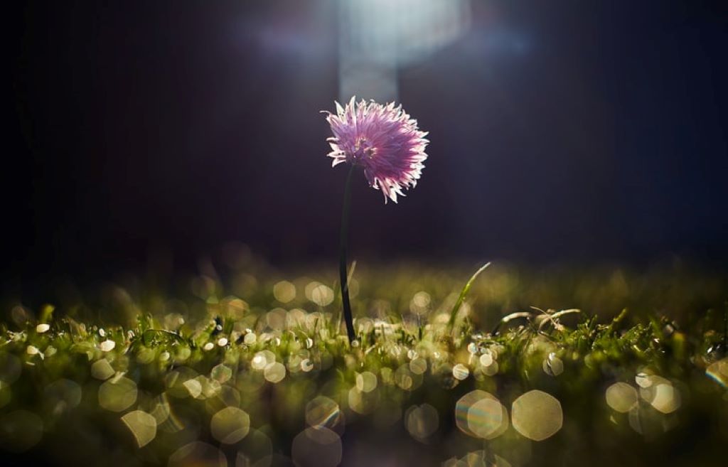 Coping with Grief