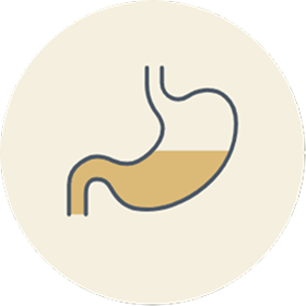 Optimized Gut Environment